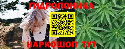 прущие крисы Заводоуковск