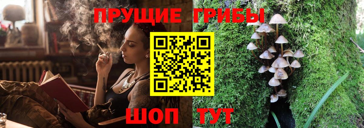 Псилоцибиновые грибы GOLDEN TEACHER  Псилоцибиновые грибы Psilocybe  Можайск  Вход с VPN 
